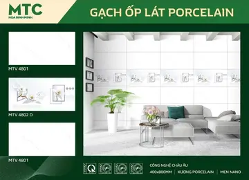 4080 MTV4801 – Gạch Việt Nam · 40x80