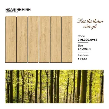 2090 2900965 A1 – Gạch Á Mỹ · 20x90