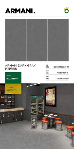 120240 Y988 – Gạch Nhập Khẩu Trung Quốc · 120x240