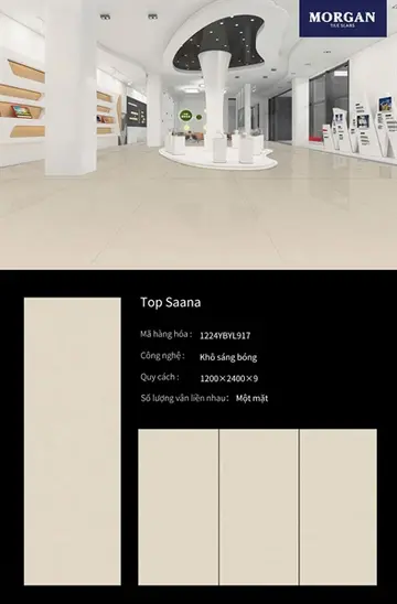 120240 Top Saana (L917) – Gạch Nhập Khẩu Ấn Độ · 120x240