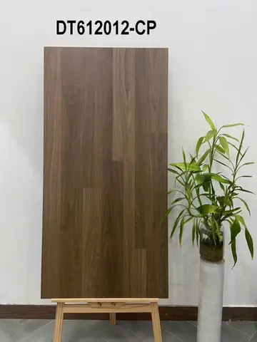 60120 DT612012 – Gạch Nhập Khẩu Trung Quốc · 60x120
