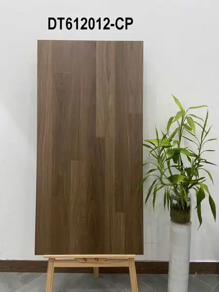 60120 DT612012 – Gạch Nhập Khẩu Trung Quốc – 60x120