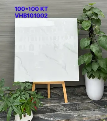 100100 VHB101002 – Gạch Nhập Khẩu Ấn Độ · 100x100