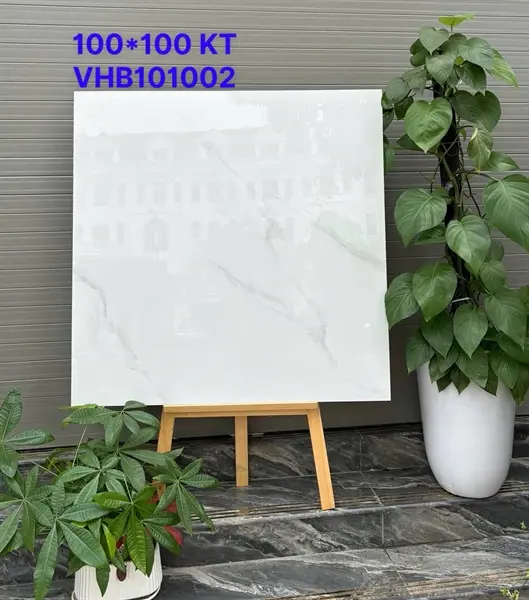 100100 VHB101002 – Gạch Nhập Khẩu Ấn Độ – 100x100
