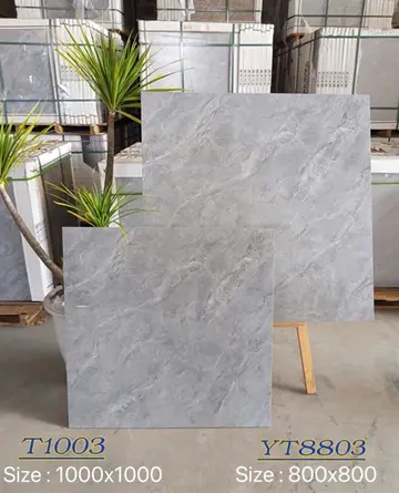 100100 T1003 – Gạch Nhập Khẩu Ấn Độ · 100x100