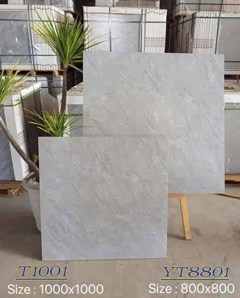 100100 T1001 – Gạch Nhập Khẩu Ấn Độ – 100x100