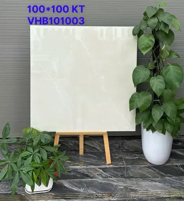 100100 VHB101003 – Gạch Nhập Khẩu Ấn Độ · 100x100