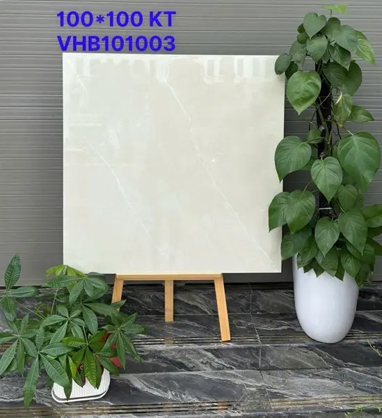 100100 VHB101003 – Gạch Nhập Khẩu Ấn Độ – 100x100