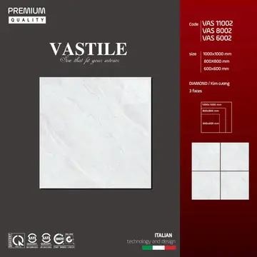 100100 VAS 11002 – Gạch Việt Nam · 100x100