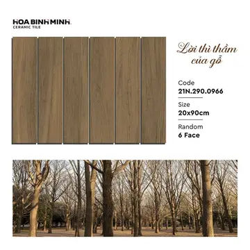 2090 2900966 A1 – Gạch Á Mỹ · 20x90