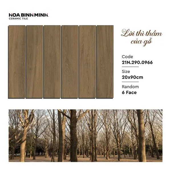2090 2900966 A1 – Gạch Á Mỹ – 20x90