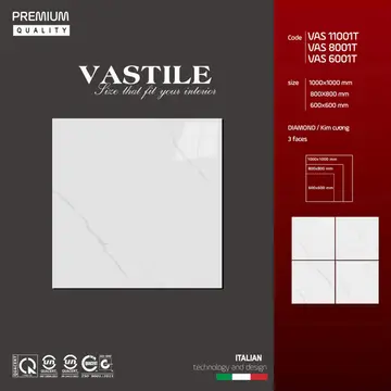 100100 VAS 11001 – Gạch Việt Nam · 100x100