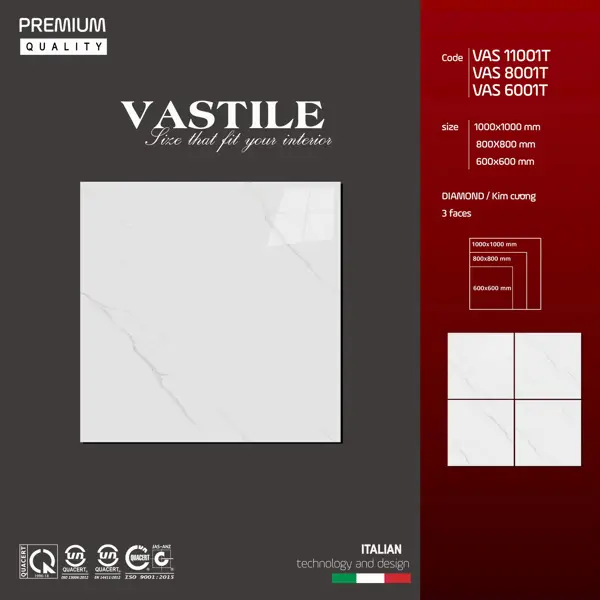 100100 VAS 11001 – Gạch Việt Nam – 100x100