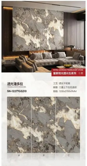 120270 TGS210 – Gạch Nhập Khẩu Trung Quốc · 120x270