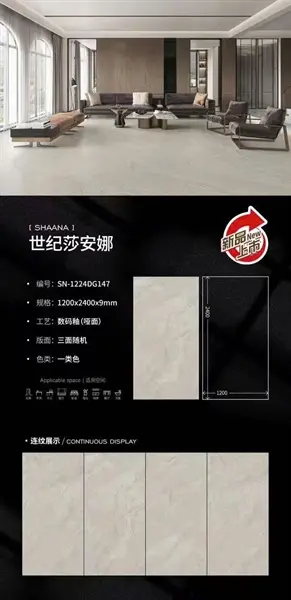 120240 DG147 – Gạch Nhập Khẩu Ấn Độ · 120x240