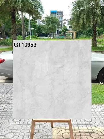 100100 GT10953 – Gạch Nhập Khẩu Trung Quốc · 100x100
