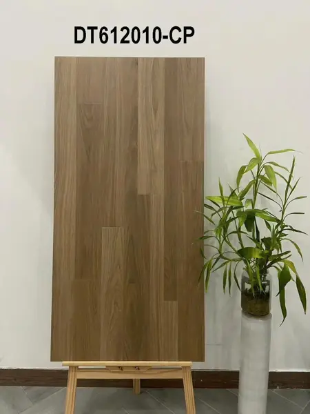60120 DT612010 – Gạch Nhập Khẩu Trung Quốc – 60x120