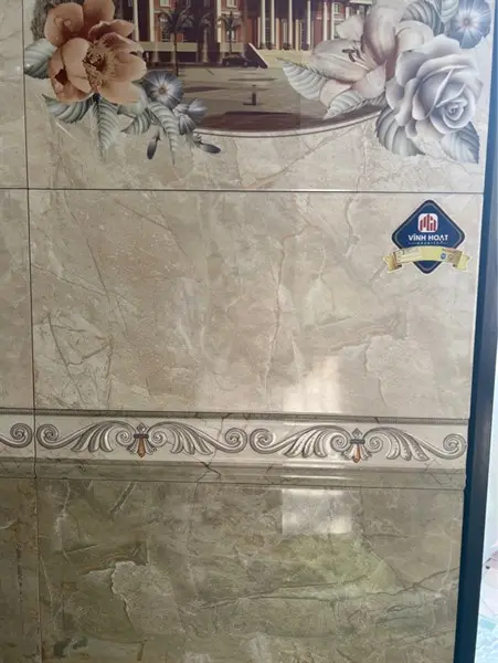 810 87024 VIEN – Gạch Ốp – 8x10