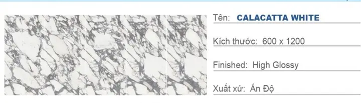 60120 Calacata White – Gạch Nhập Khẩu Ấn Độ – 60x120