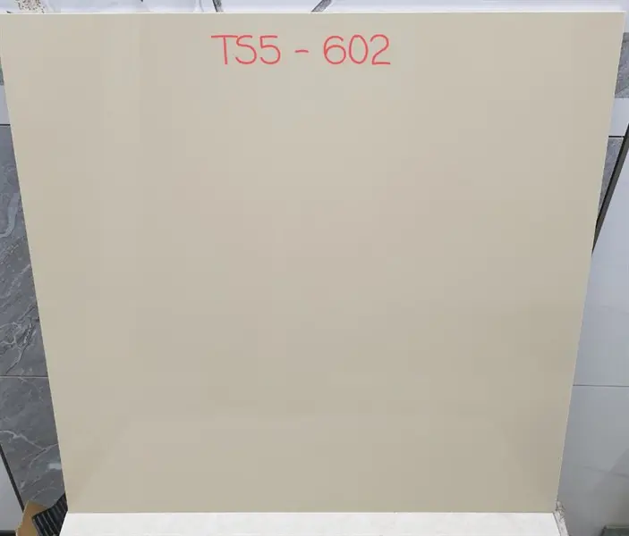 6060 TS5602 LAT – Gạch Lát – 60x60