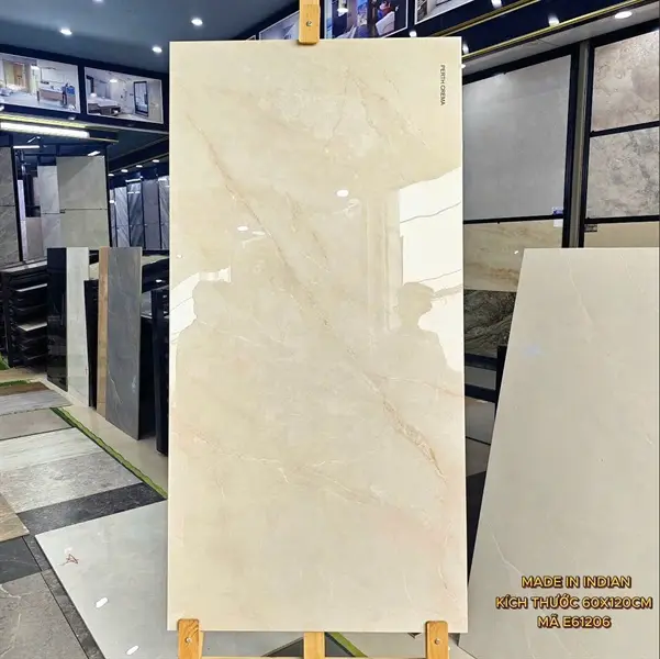 60120 E61206 – Gạch Nhập Khẩu Ấn Độ – 60x120