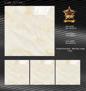 8080 M8822 A1 – Gạch Việt Nam · 80x80