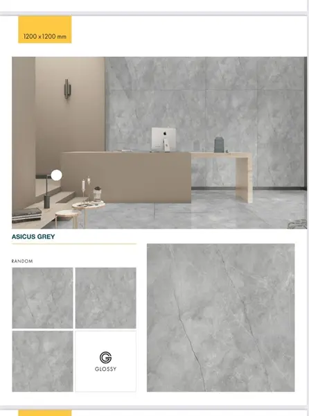 100100 Asicus Grey – Gạch Nhập Khẩu Ấn Độ – 100x100