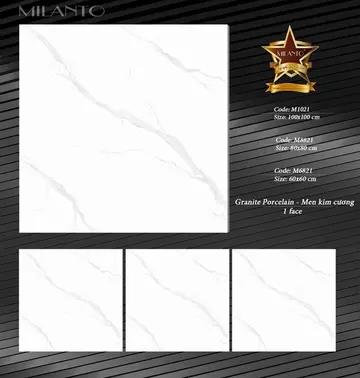 100100 M1021 A1 – Gạch Nhập Khẩu Ấn Độ · 100x100