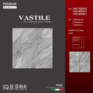 100100 VAS 11003VT – Gạch Việt Nam · 100x100