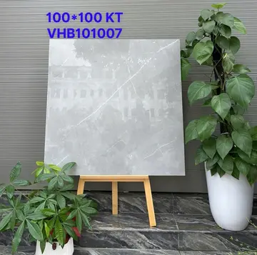 100100 VHB101007 – Gạch Nhập Khẩu Ấn Độ · 100x100