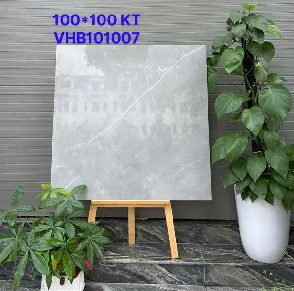100100 VHB101007 – Gạch Nhập Khẩu Ấn Độ – 100x100