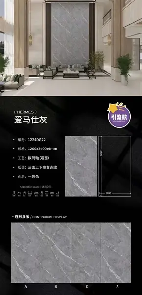 120240 DG22 – Gạch Nhập Khẩu Trung Quốc · 120x240
