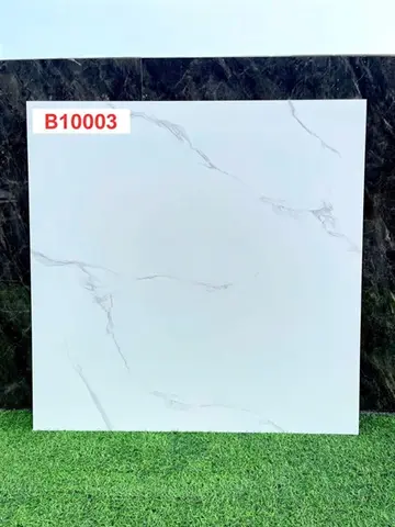 100100 B1003 (100B003) – Gạch Nhập Khẩu Trung Quốc · 100x100