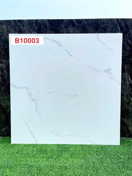 100100 B1003 (100B003) – Gạch Nhập Khẩu Trung Quốc – 100x100