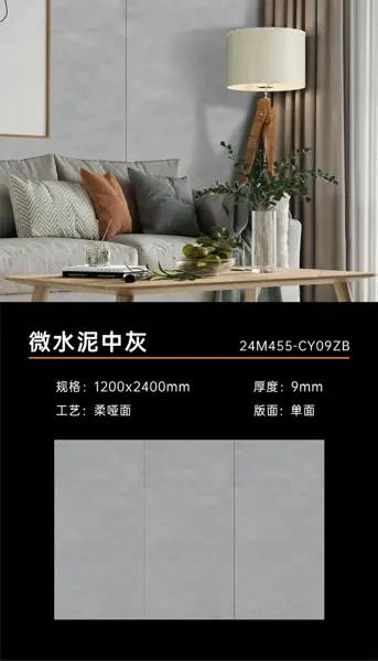 120240 24M455 – Gạch Nhập Khẩu Trung Quốc · 120x240