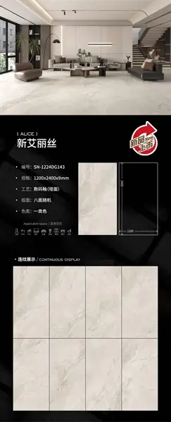 120240 DG143 – Gạch Nhập Khẩu Ấn Độ · 120x240