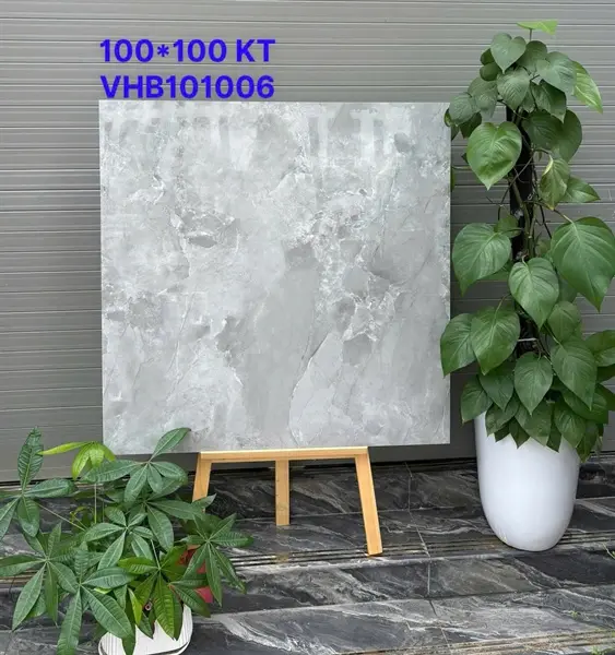 100100 VHB101006 – Gạch Nhập Khẩu Ấn Độ – 100x100