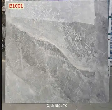 100100 B10001-100B001 – Gạch Nhập Khẩu Trung Quốc · 100x100