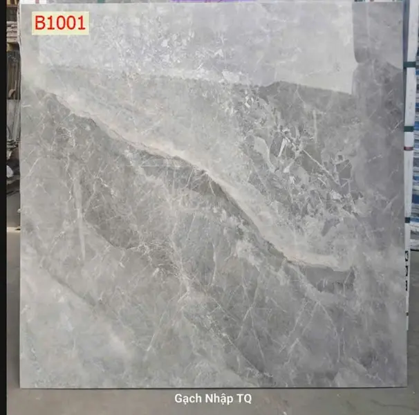100100 B10001-100B001 – Gạch Nhập Khẩu Trung Quốc – 100x100