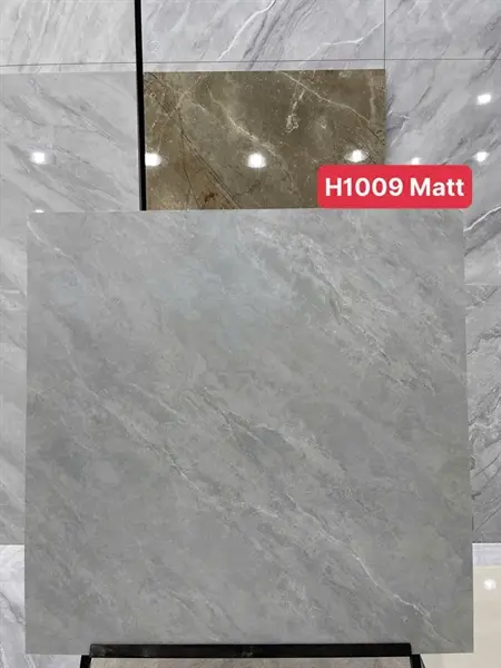 100100 H1009 – Gạch Nhập Khẩu Trung Quốc – 100x100