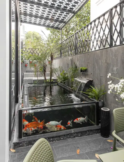 Sân vườn – ảnh 4